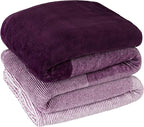 PAVILIA Flannel Fleece Ombre Throw Blanket for Couch | Super Soft Cozy Microfiber Sofa Blanket | Gradient Decorative Accent Throw, Twin Size Blanket | All Season, 60x80 Inches Purple Lavender