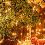 50-Count White Christmas Lights with Green Wire,Mini String Lights for Holiday Decorations, Christmas Tree Lights, Holiday Party, Wedding, Xmas, Home, Indoor & Outdoor Use (13ft Long)