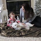 Bedsure GentleSoft Fleece Blankets Queen Size Brown - Bed Blanket Soft Lightweight Plush Fuzzy Cozy Luxury Microfiber, 90x90 inches