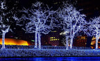 612 Vermont 100 Blue Christmas Lights on a White Wire String, UL Approved, Indoor/Outdoor Use, 18’ of Lighted Length, 20’ of Total Length