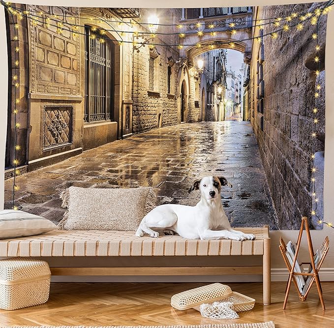 Lunarable City Tapestry, Narrow Street Gothic Design Architecture Carrer del Bisbe Barcelona Spain Europe, Wide Wall Hanging for Bedroom Living Room Dorm, 80" X 60", Tan Pale Brown